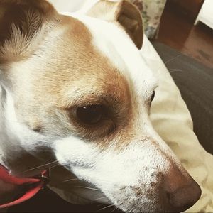 Meet your Posher, Francesca